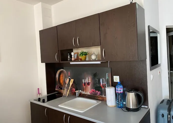 Royal Palm With Seaview